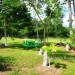 Belize Home for sale on 3.3 acres11