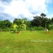 Belize Home for sale on 3.3 acres15