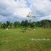 Belize Home for sale on 3.3 acres3