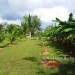 Belize Home for sale on 3.3 acres5