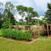 Belize Home for sale on 3.3 acres6