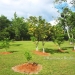 Belize Home for sale on 3.3 acres7