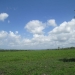 1 & 5 Acres Belize Development Land OL041407SI