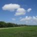 1 & 5 Acres Belize Development Land OL041407SI