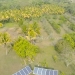 Belize Home Farm for Sale Drone Pictures 4 jpg