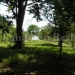 Property picture of the Land for sale in the Toledo District