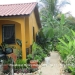 Belize Home San Ignacio4