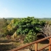 Belize Real Estate Home View
