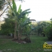 belize-real-estate_wood-home-with-beautiful-views-6