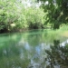 Emerald Green Mopan River Lot for Sale 14