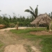 Beach area with palapa of Mullins River Belize Property