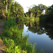 River of Mullins River Belize Property