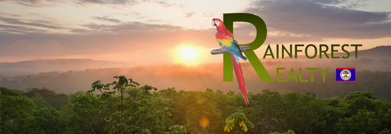 Rainforest Realty of Belize Website Picture