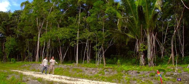 Belize Home Lots for Sale next to Maya Mountian Lodge