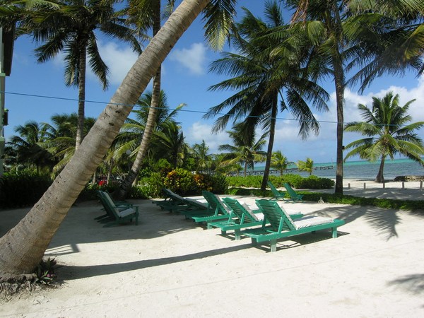Ambergris Caye Island Belize