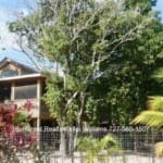 Belize Tropical Retreat In Riversdale 14
