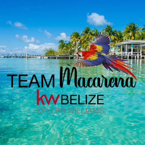 KW Team Macarena Rose