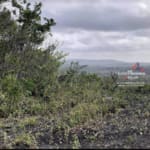 Belize Picturesque 5 Acres Bullet Tree8