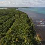 Belize Beachfront Lot Palm Bay Club 2