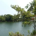 Belize 3 Acre Sittee River Hopkins6