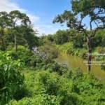 Belize 10 Acre Coconut Farm 8