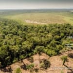 Belize 50 Acres Pristine Jungle Land6