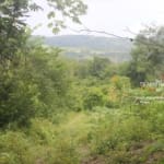 Belize 6 Acres Between Bt And Si38