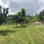 Belize Fenced Lot In Residential Area2