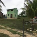 Belize Great Fixer Upper Home Bullet Tree4