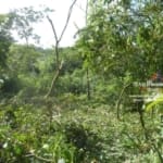 Belize Lot In Hillview Area Santa Elena1