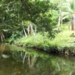 Belize One Acre Property With Creek1