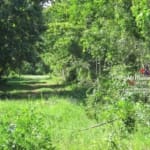 3.5 Acres Lot For Sale Esperanza Cayo4