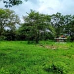 84 Acre Property Near Billy White4