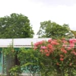 Belize Home With Fruit Orchard Si13