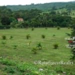 Gaia Way Estate Lots For Sale In Belize6