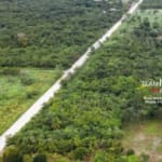 20 Acre Property On Northern Highway3