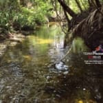 Belize 25 Acres For Sale Farm3 1