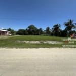 Residential Lot Consejo Shores4