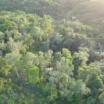 Jungle Lots Negroman Area6