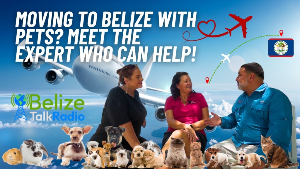 Pets on Jets in Belize featured Image
