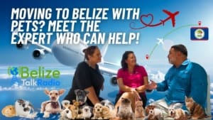 Pets on Jets in Belize featured Image