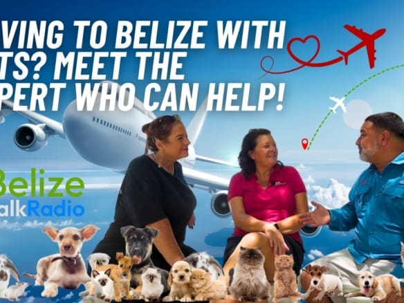 Pets On Jets In Belize Featured Image