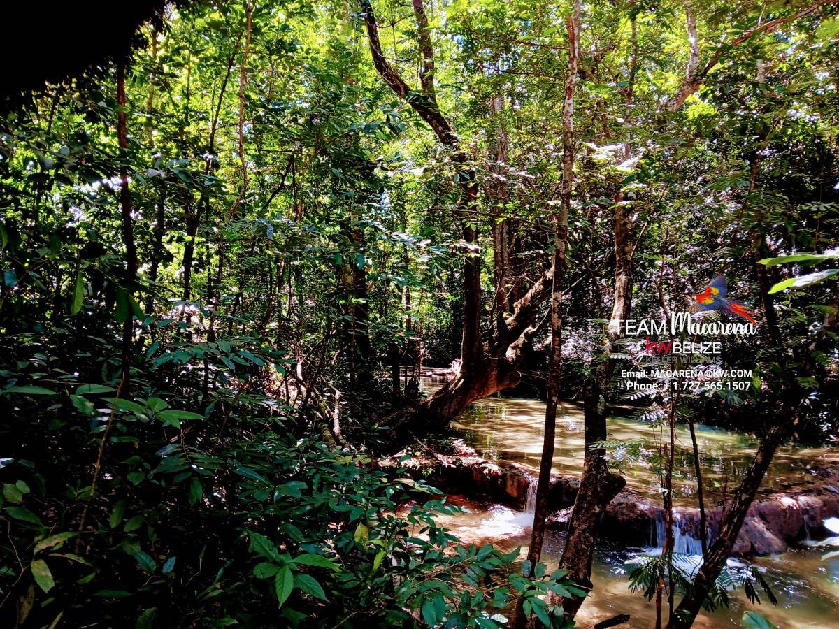 Three Acres of Serenity in Cristo Rey