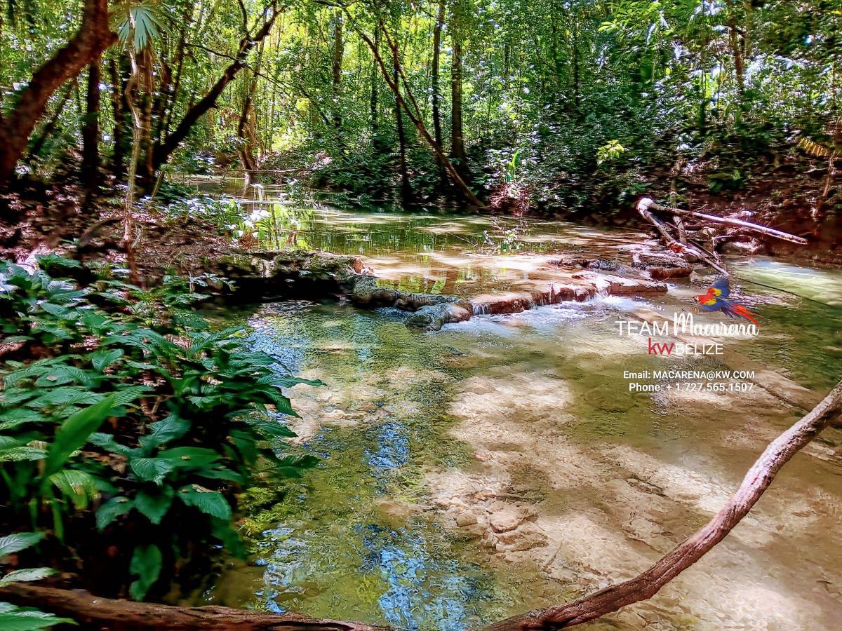 Three Acres of Serenity in Cristo Rey