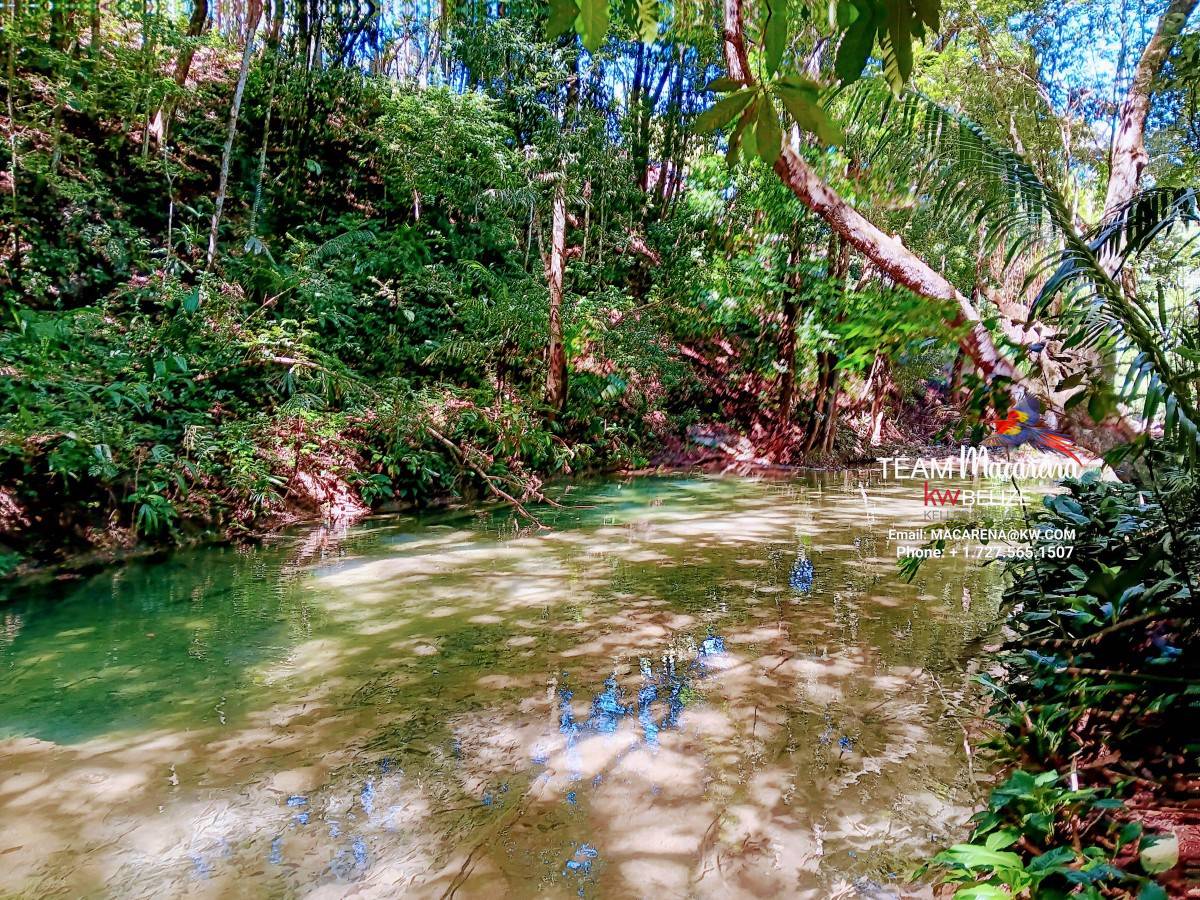 Three Acres of Serenity in Cristo Rey