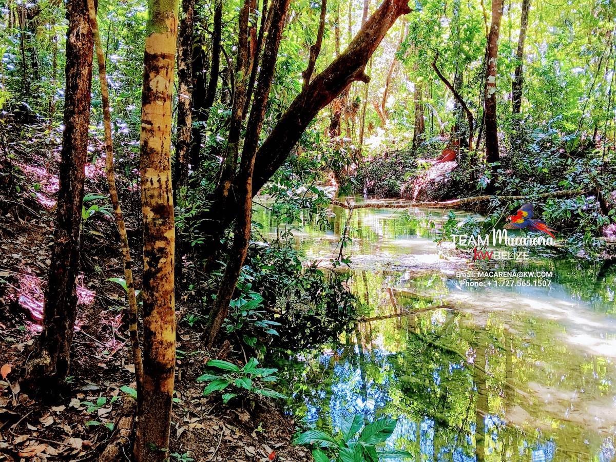 Three Acres of Serenity in Cristo Rey