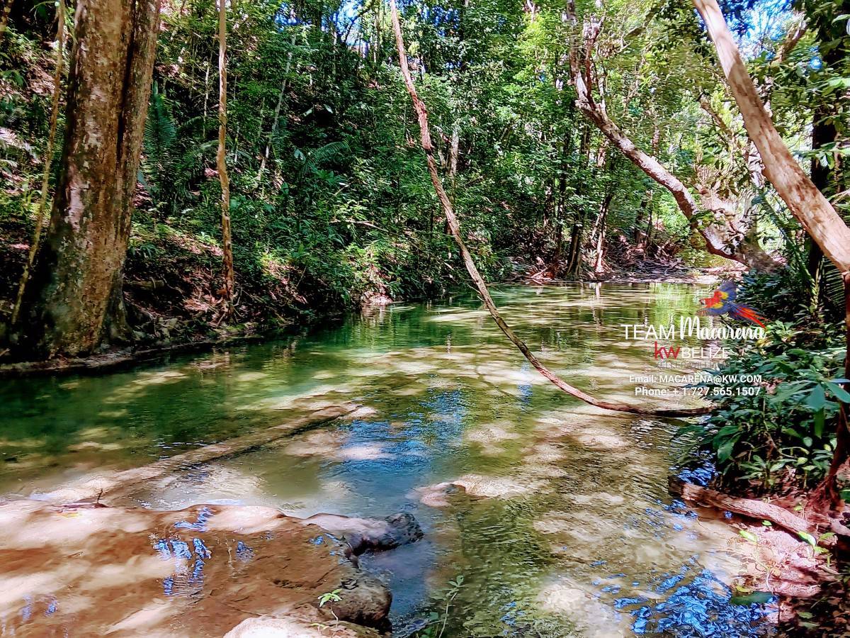 Three Acres of Serenity in Cristo Rey