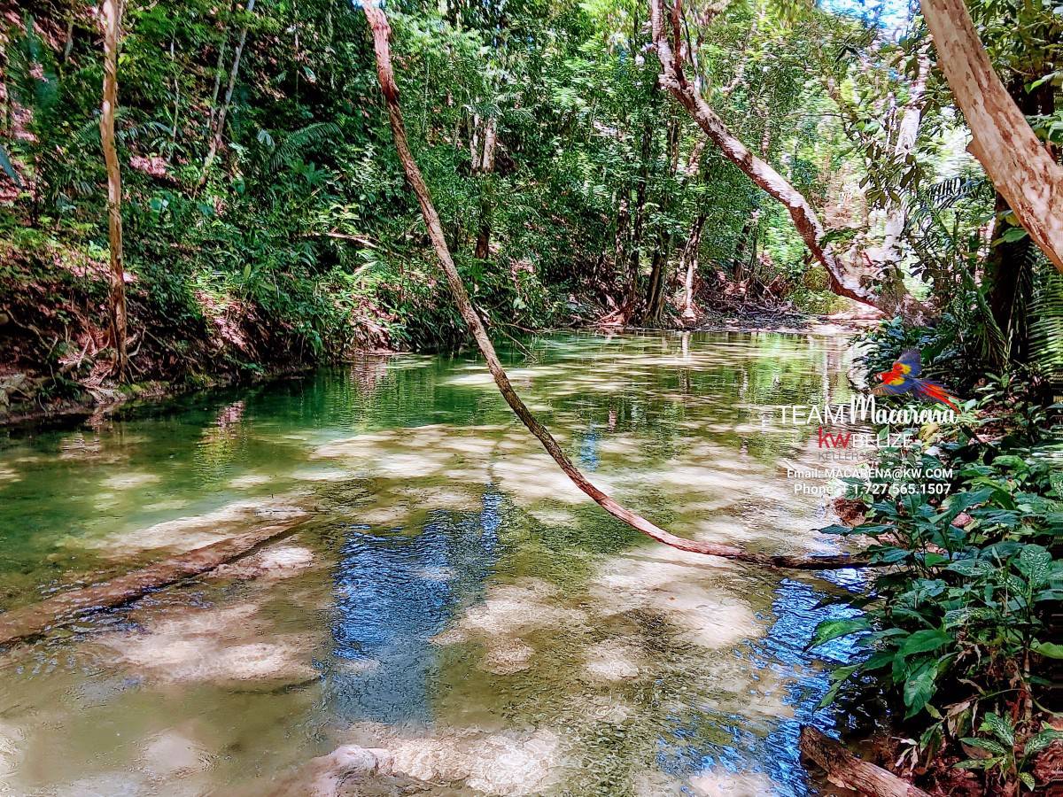 Three Acres of Serenity in Cristo Rey