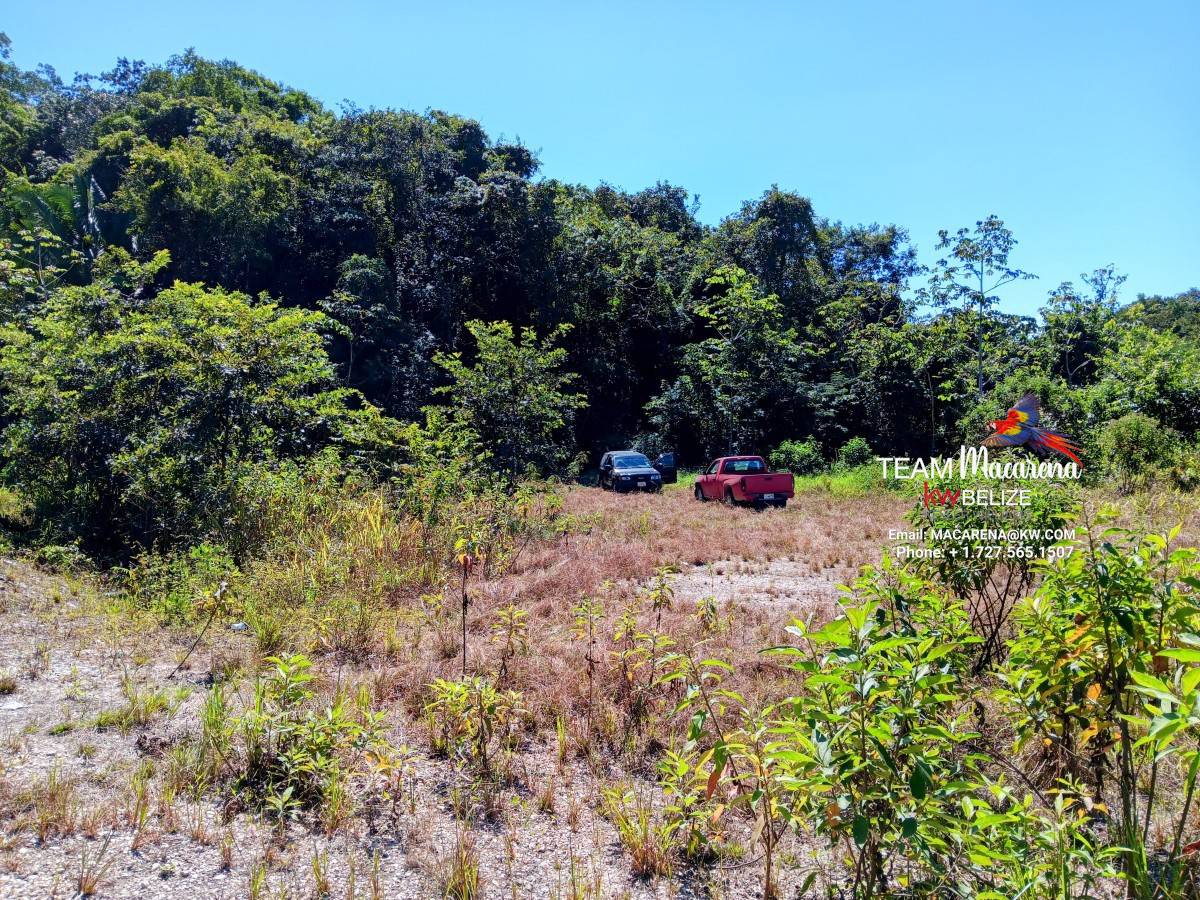 Three Acres of Serenity in Cristo Rey
