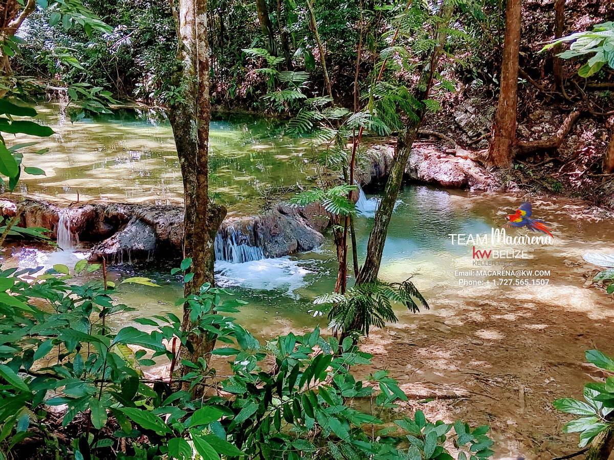 Three Acres of Serenity in Cristo Rey